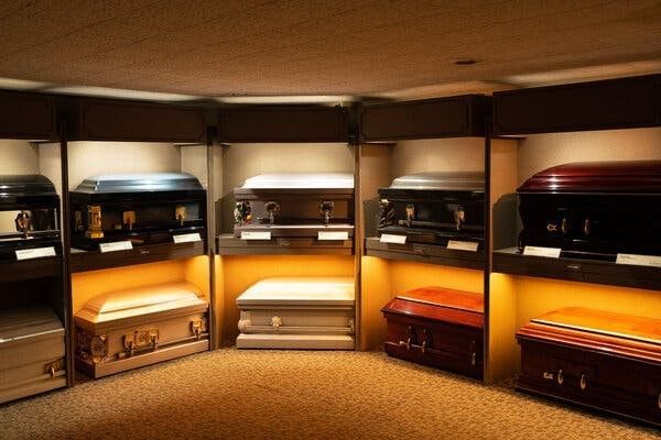 Rows of glowing aquarium-style display cases in a dim, wood-paneled room