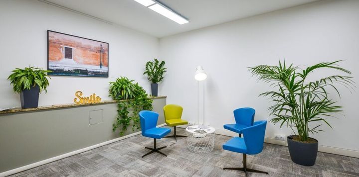 piante da arredo in ufficio