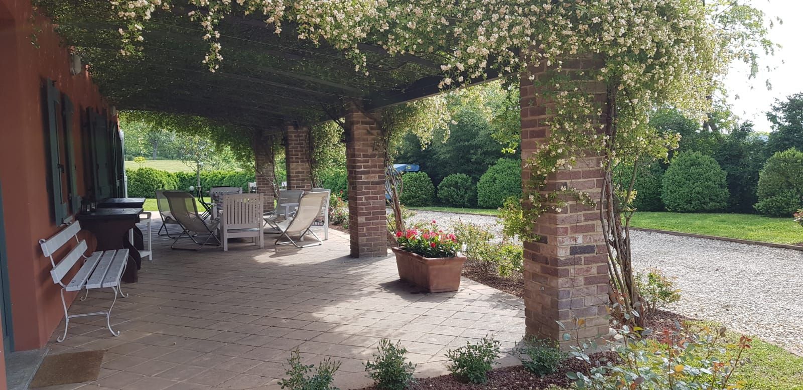 patio con verde
