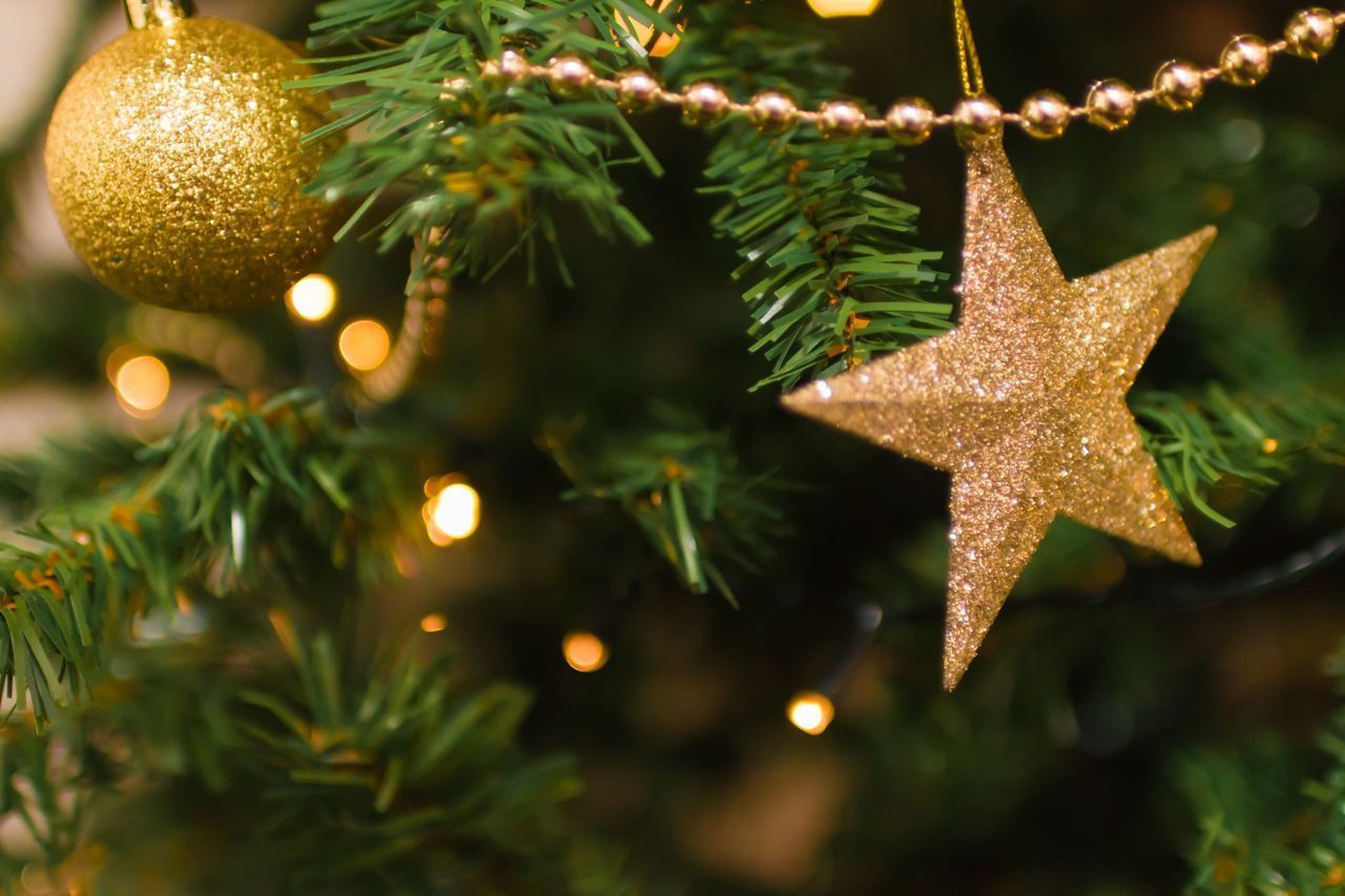 stelle di Natale per albero