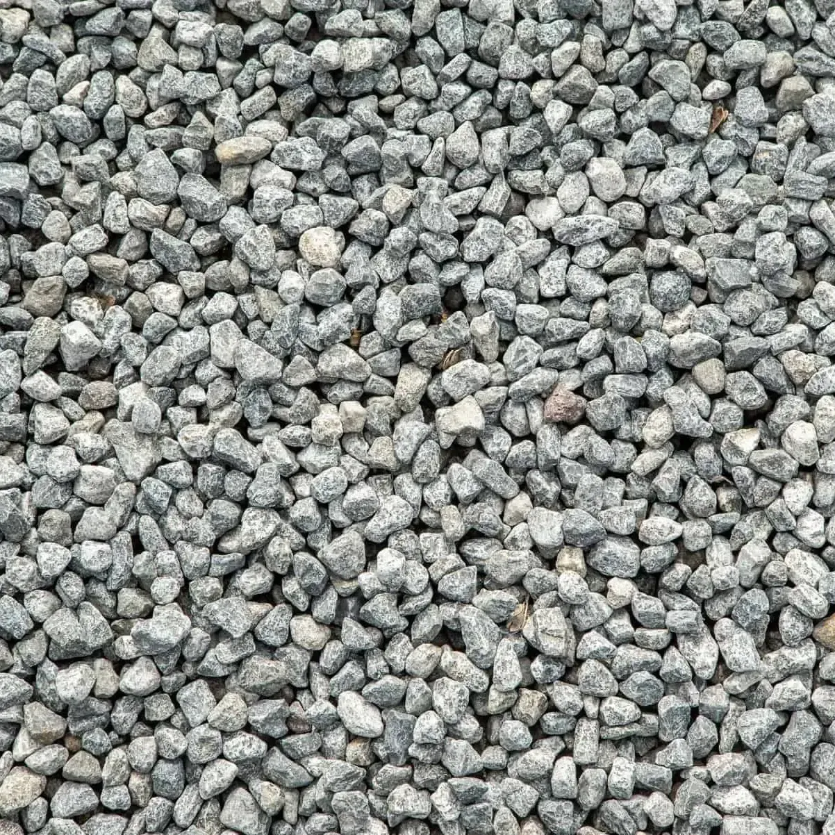 A close up of a roof with a tree in the background.
