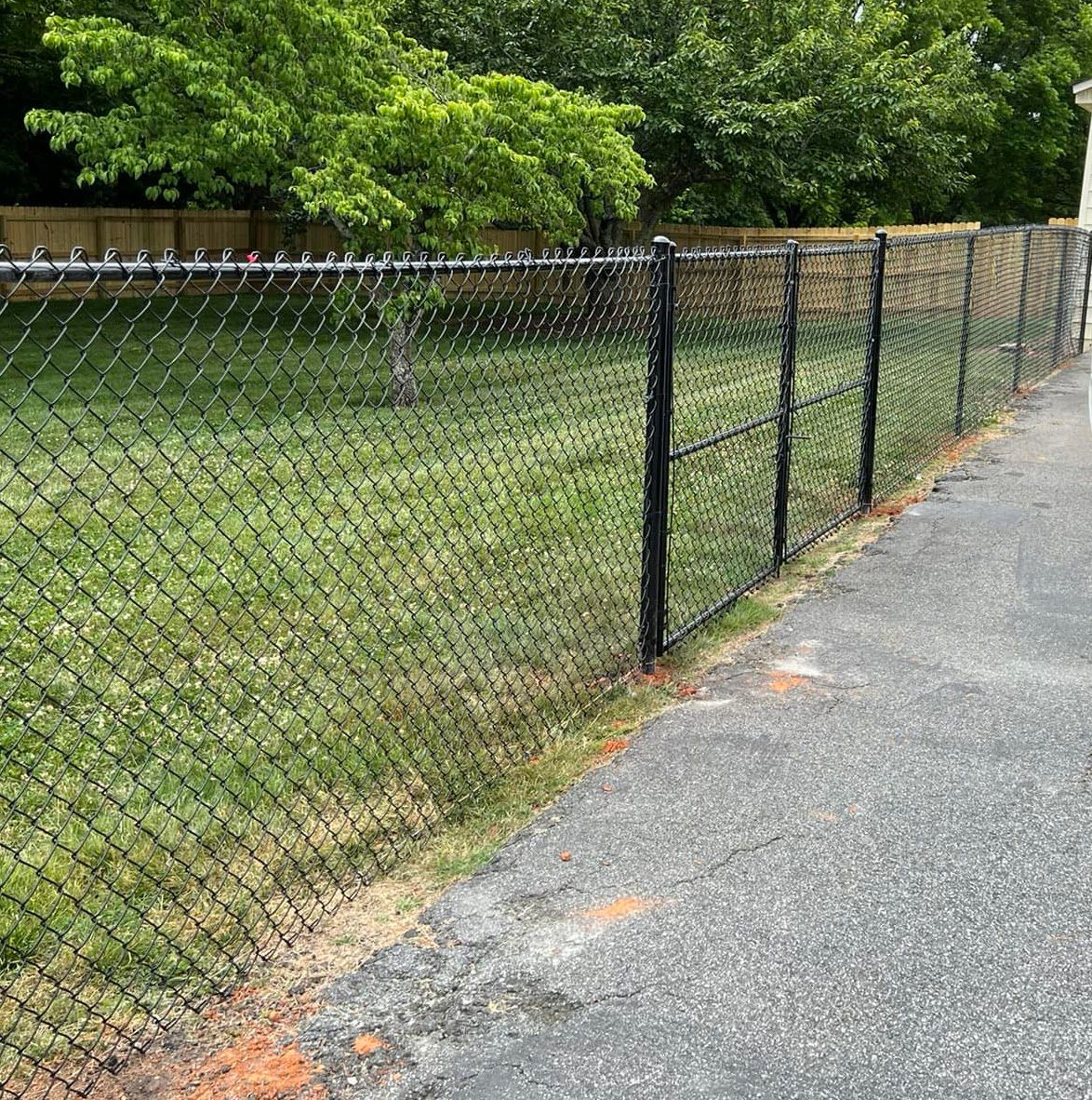 Black chain-link fence along a grassy yard beside an asphalt road, with trees in the background