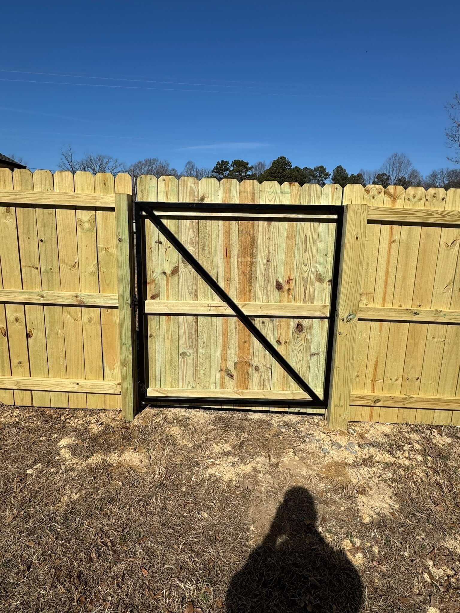 Black wooden gate in a light wood fence under a clear blue sky, with gravel in the foreground.