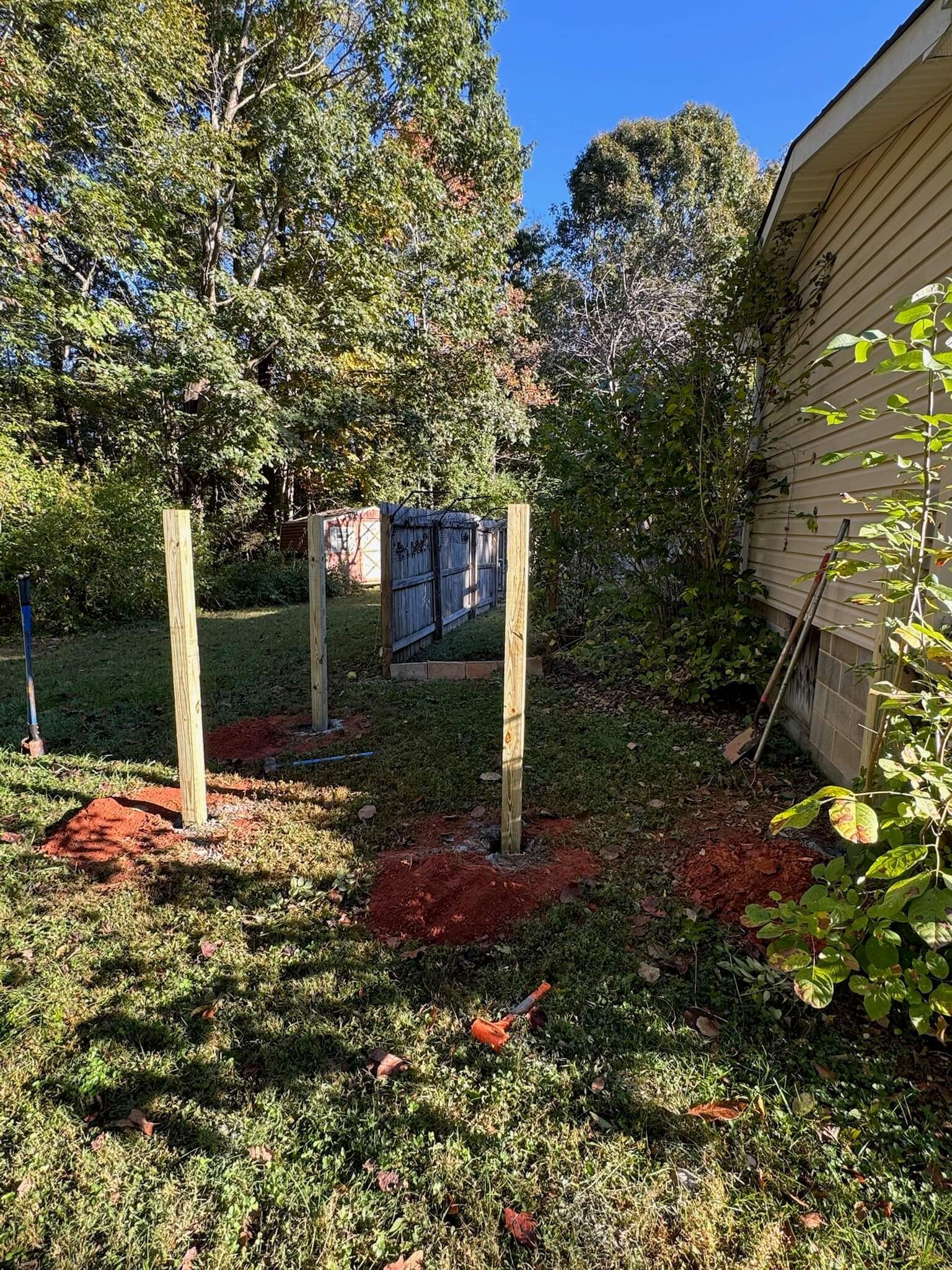 Backyard garden with young trees, red mulch, and a house exterior on the right.