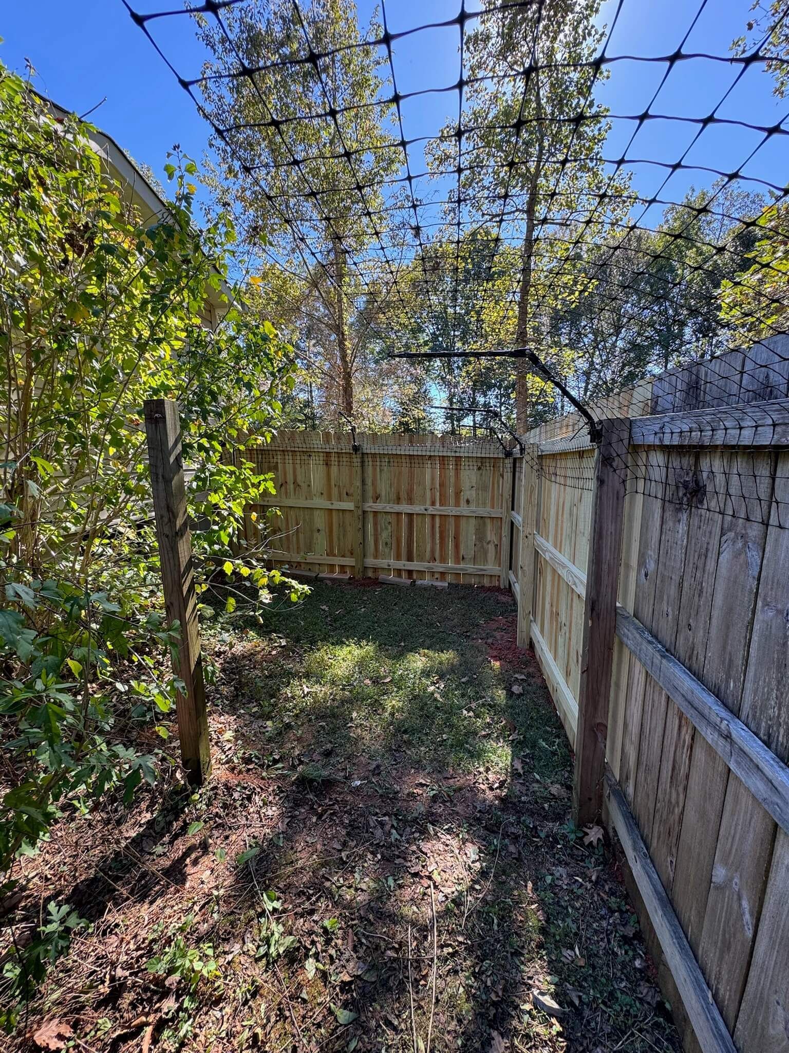 Narrow backyard path with wooden fences, trees overhead, and sunlight casting shadows on the ground