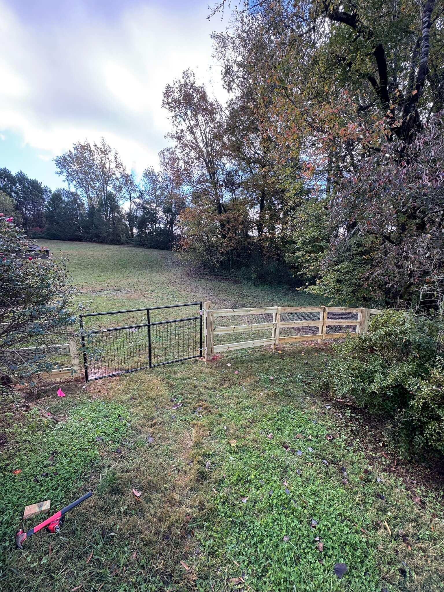 Open grassy field with two metal gates and trees under a cloudy sky