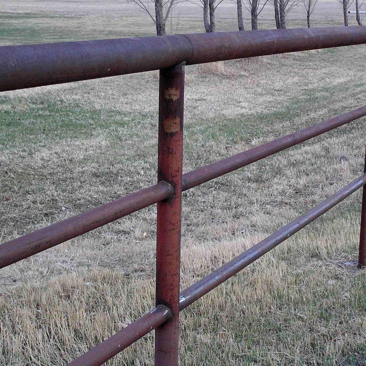 Rusty metal farm gate with horizontal rails beside a grassy field