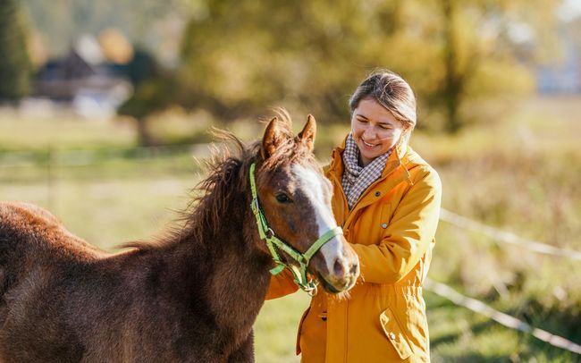 Person in a yellow jacket standing with a brown horse in a sunny field