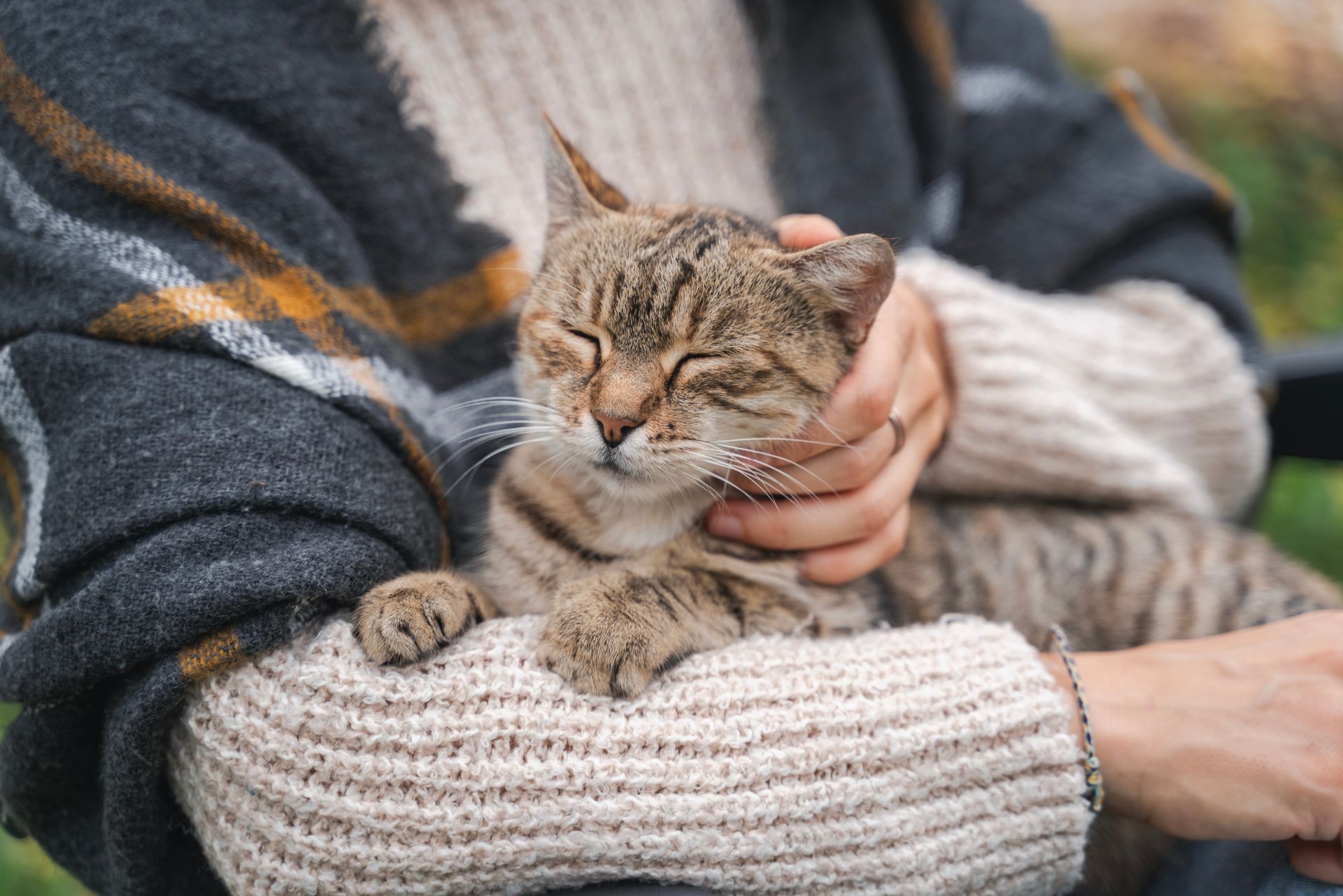 Person cuddling a sleeping tabby cat in a gray sweater and striped shirt