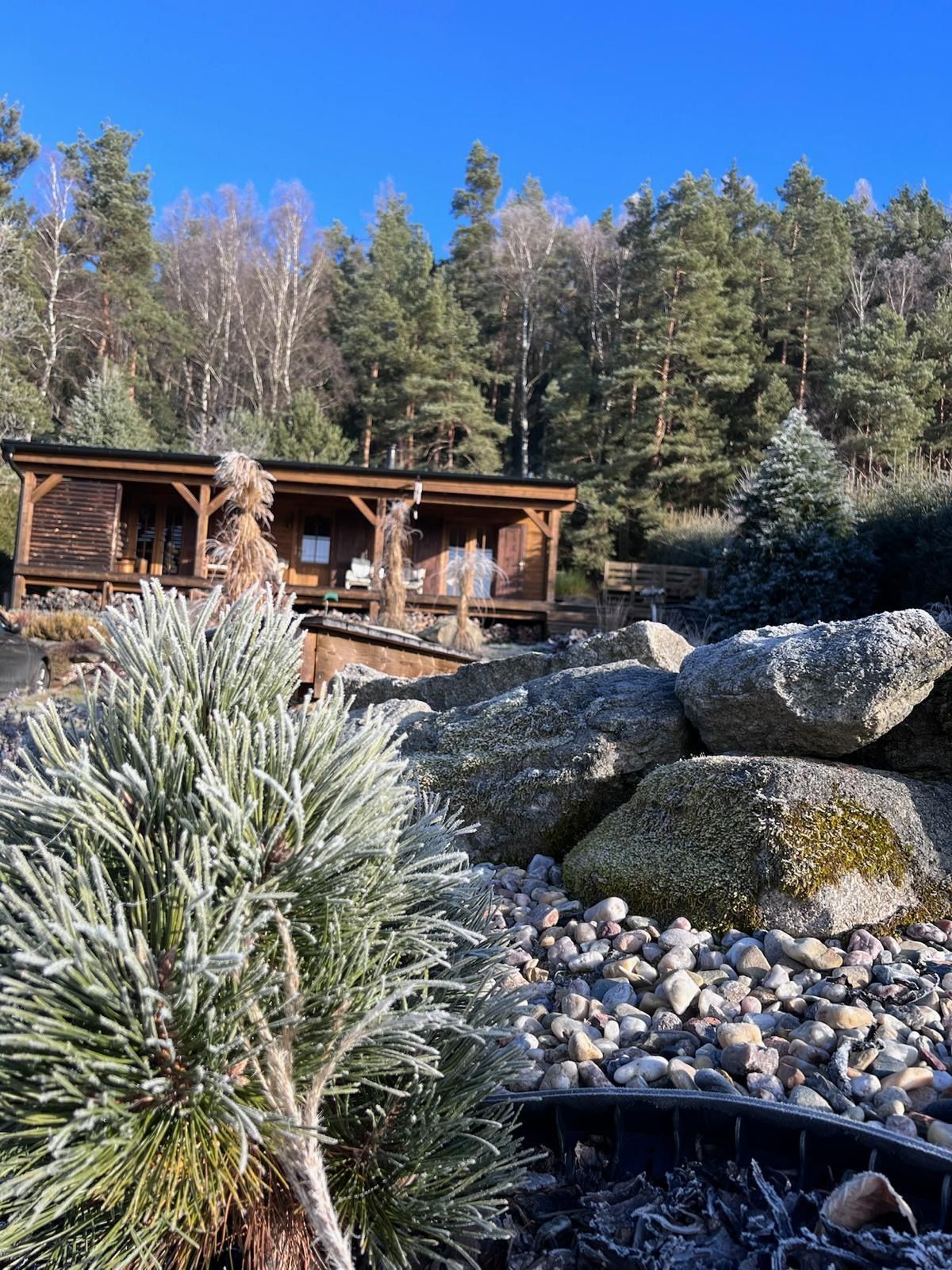 Wooden cabin nestled amongst frosted rocks and evergreen trees under a clear blue sky.