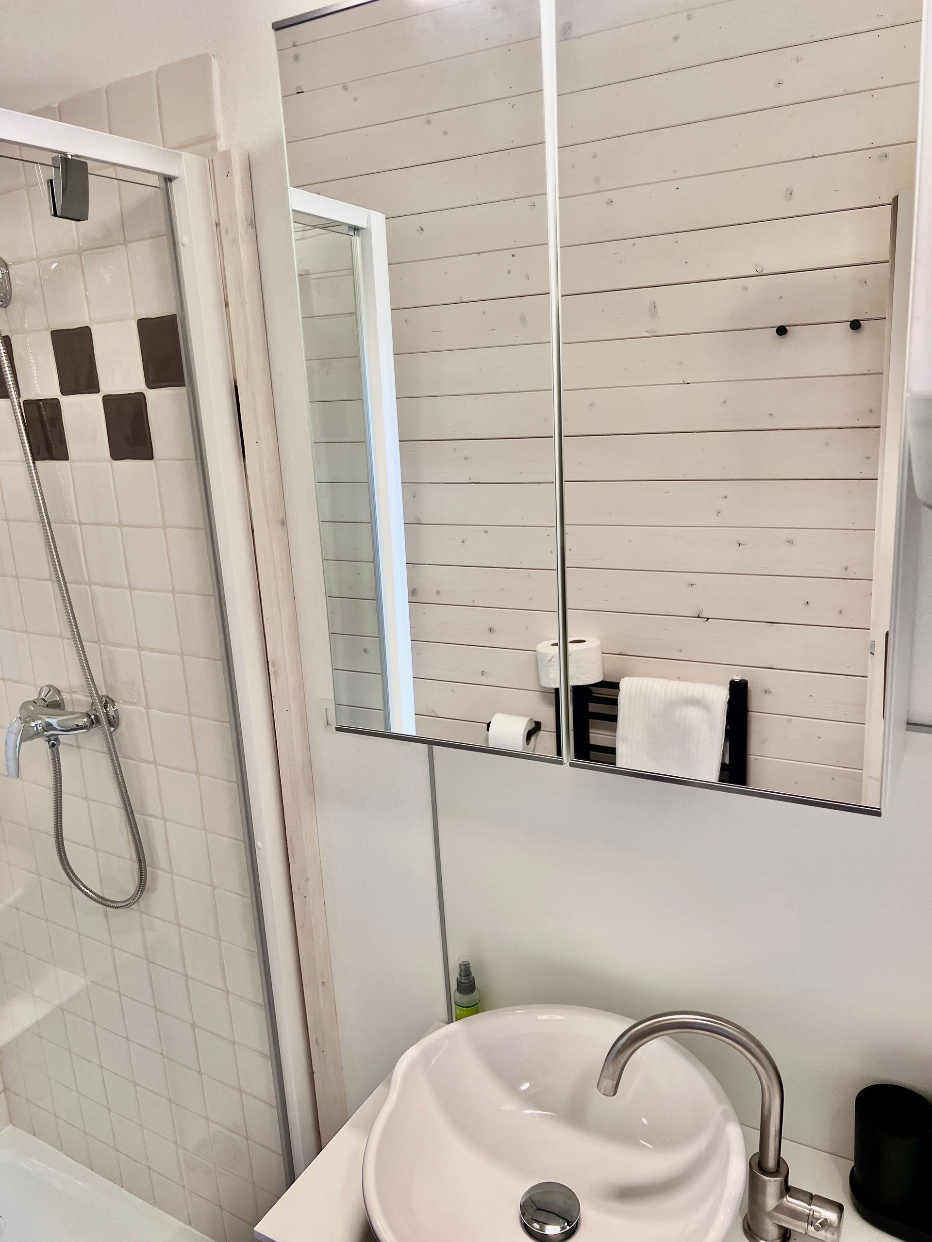 Bathroom with a shower, sink, and mirror. White walls, stainless steel faucet.