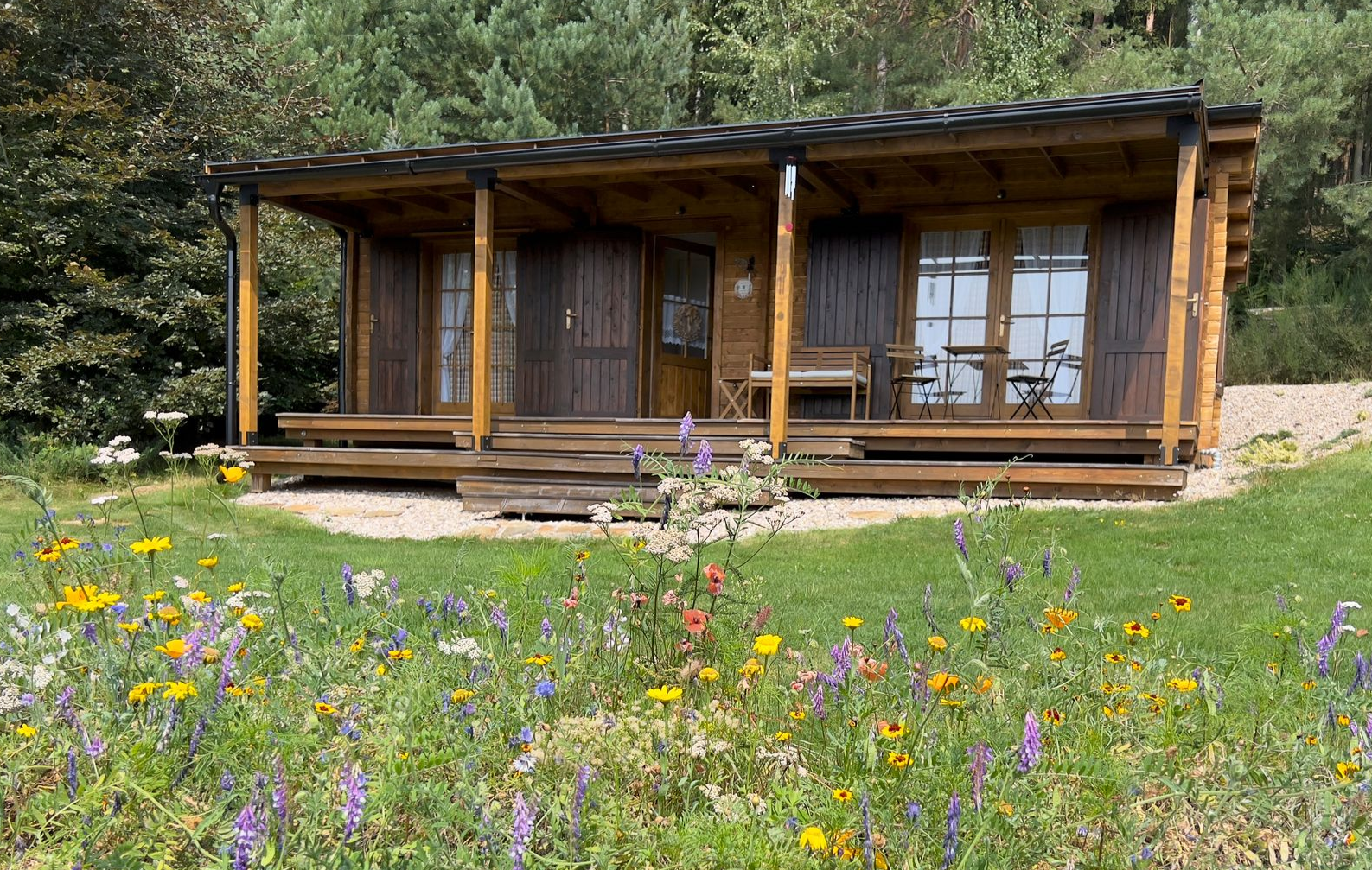 Wooden cabin with porch, nestled in a field of colorful wildflowers, beside a forest.