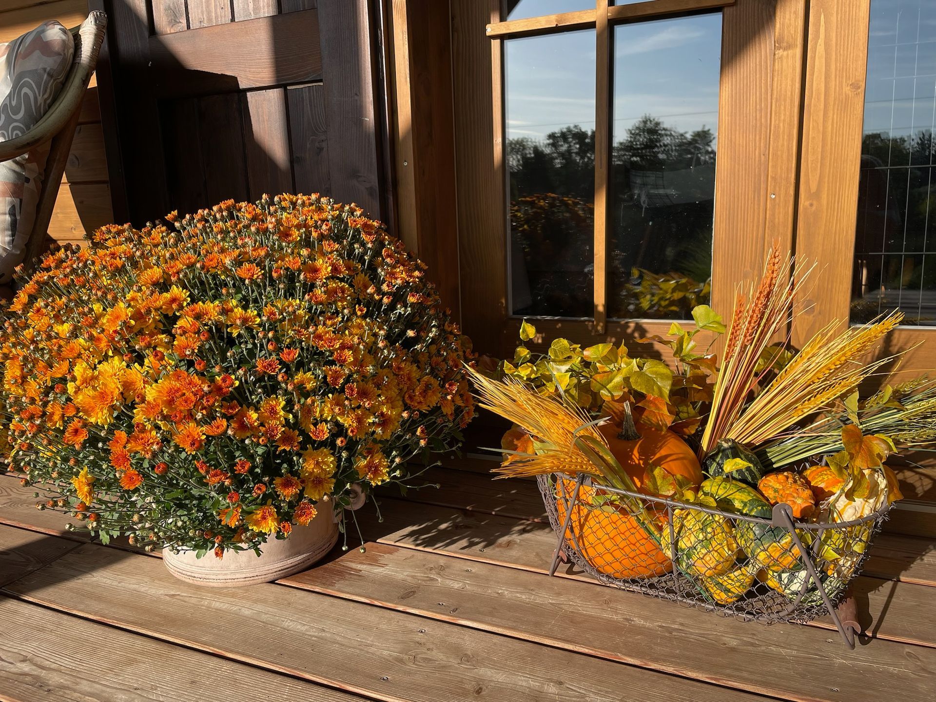 Orange chrysanthemums and fall decor on a porch.