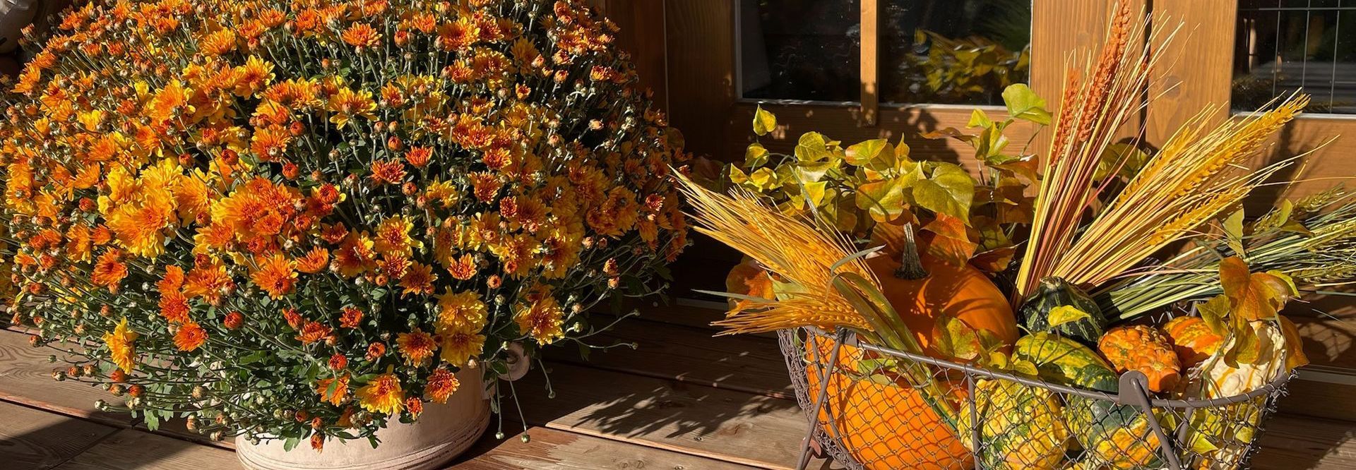 Autumn floral display with orange mums and fall harvest basket.