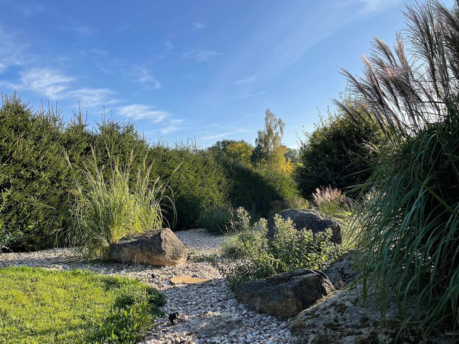 Landscaped garden with green shrubs, rocks, and blue sky.
