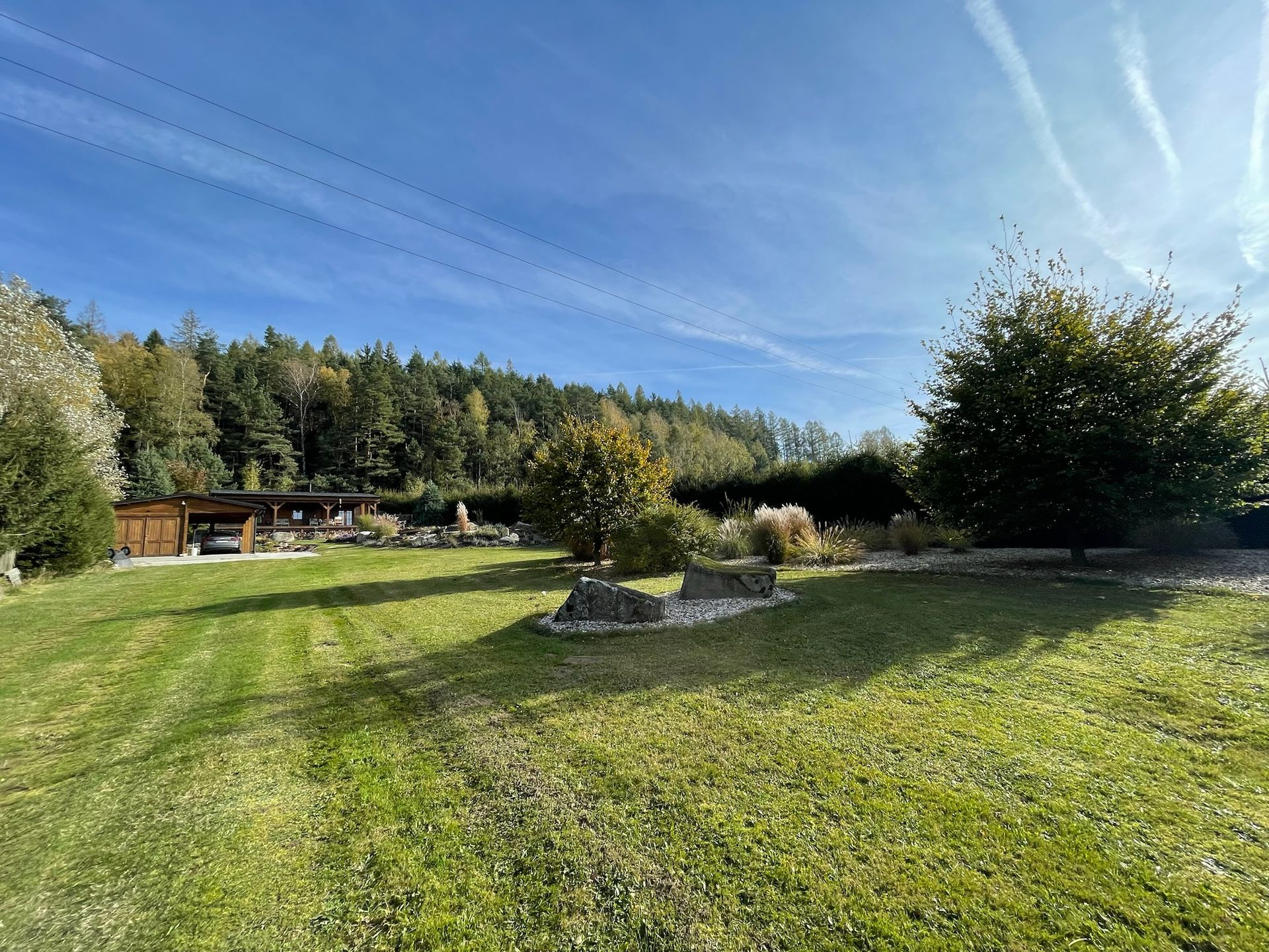 Green lawn with trees and a building under a blue sky; birds fly overhead.