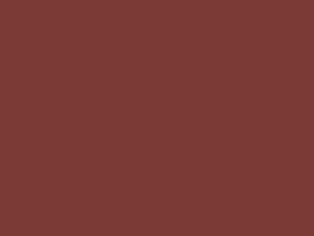 A solid, flat background in a deep, muted reddish-brown color.