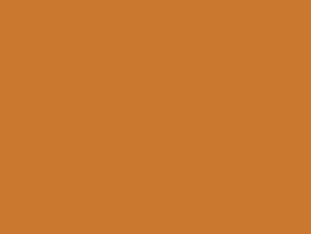 A solid, uniform block of warm, brownish-orange color.