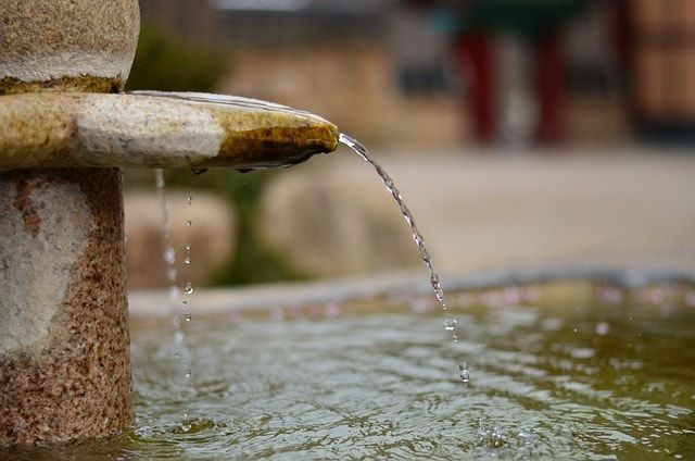 A close-up of a stone fountain with a gentle stream of water flowing from a spout into a basin.