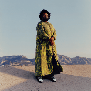 Person in a long green patterned coat standing on a desert road with mountains in the background