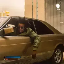 Person leaning out of a gold car window, wearing sunglasses and a green jacket, with smoke in the background