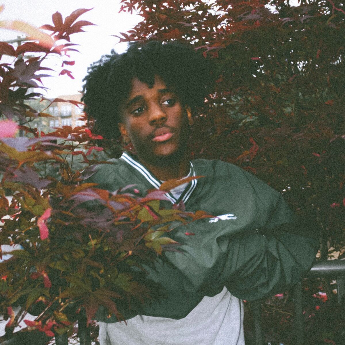 Person partially hidden in red foliage, wearing a green jacket and looking at the camera.