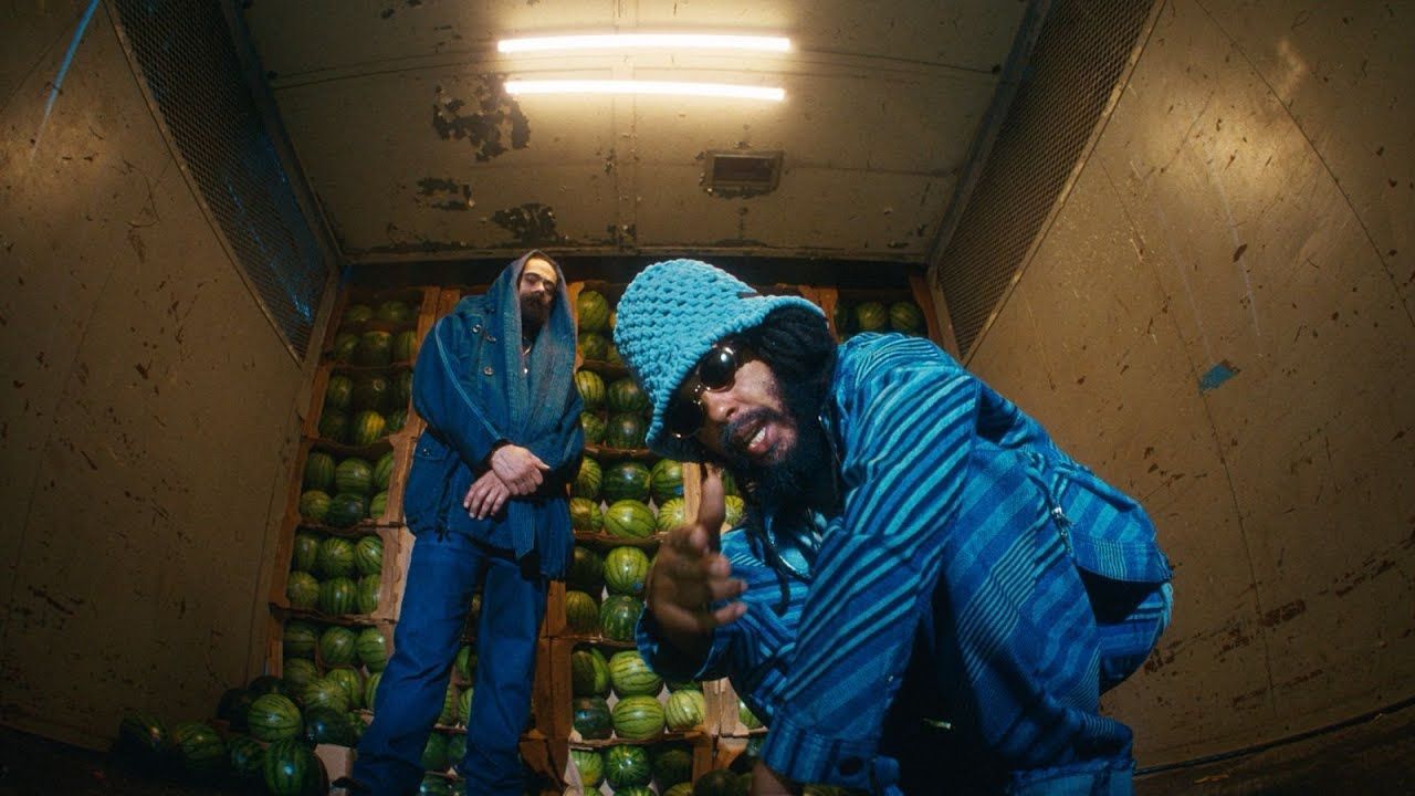 Two workers in blue hoodies sorting green produce in a warehouse truck