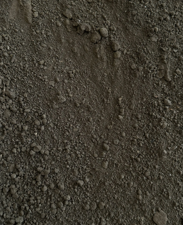 Dirt