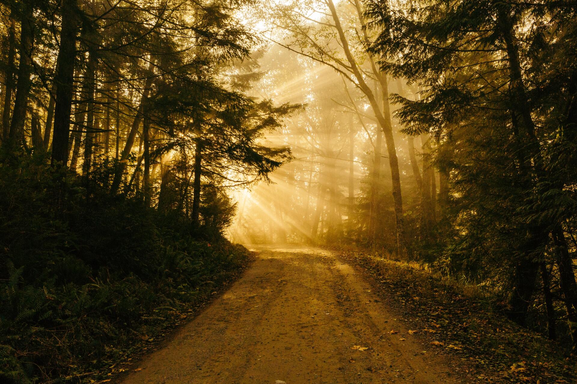 carmanah counseling
TRANSFORMATIVE HEALING &growth:
Mind, BODY AND RELATIONSHIP WELLNESS