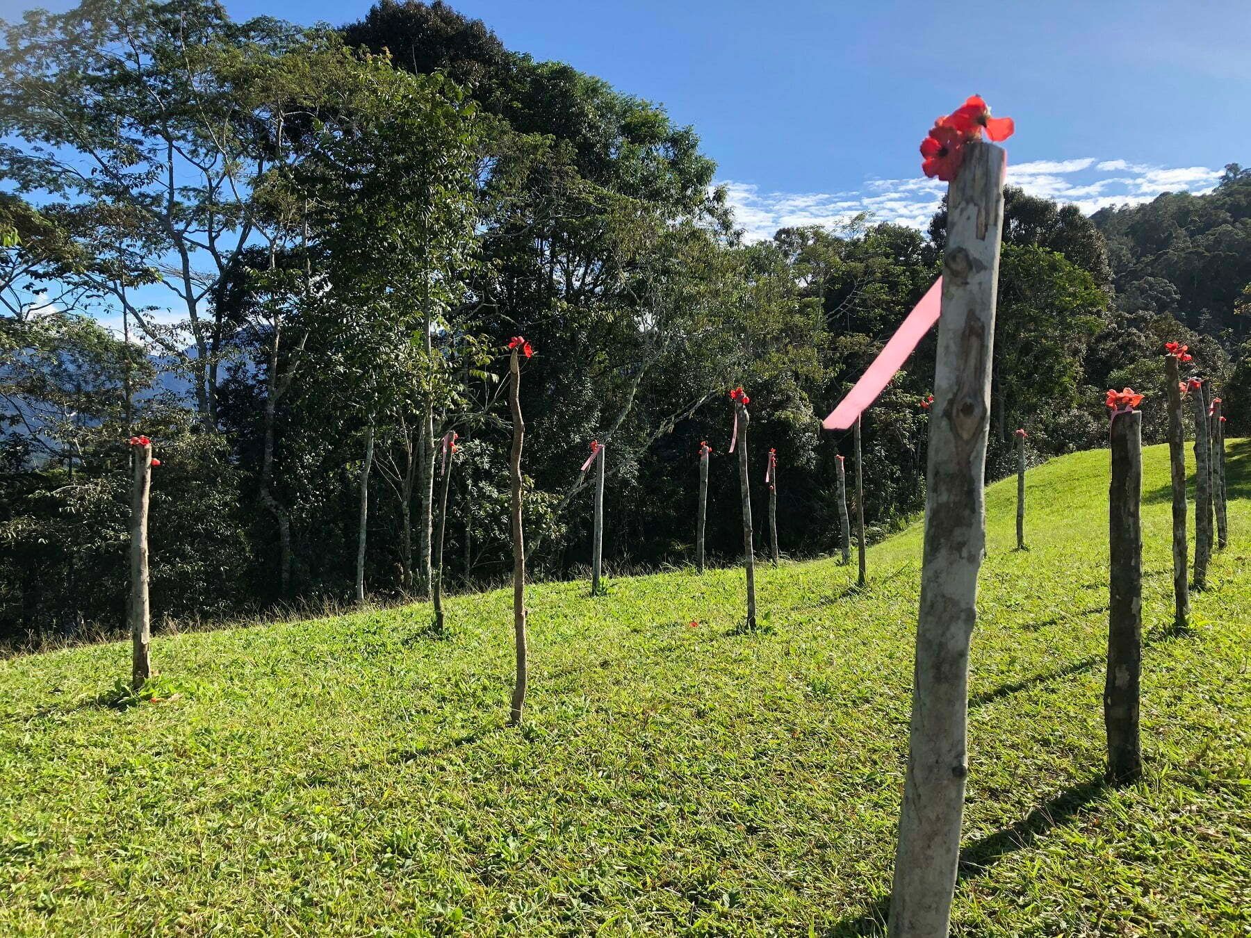 Image depicts Brigade Hill - Kokoda Track. A small hill less than 100m in length with sticks driven into the ground and poppies on top, representing all the Australian lives lost in the Battle of Mission Ridge, during the Kokoda Campaign.