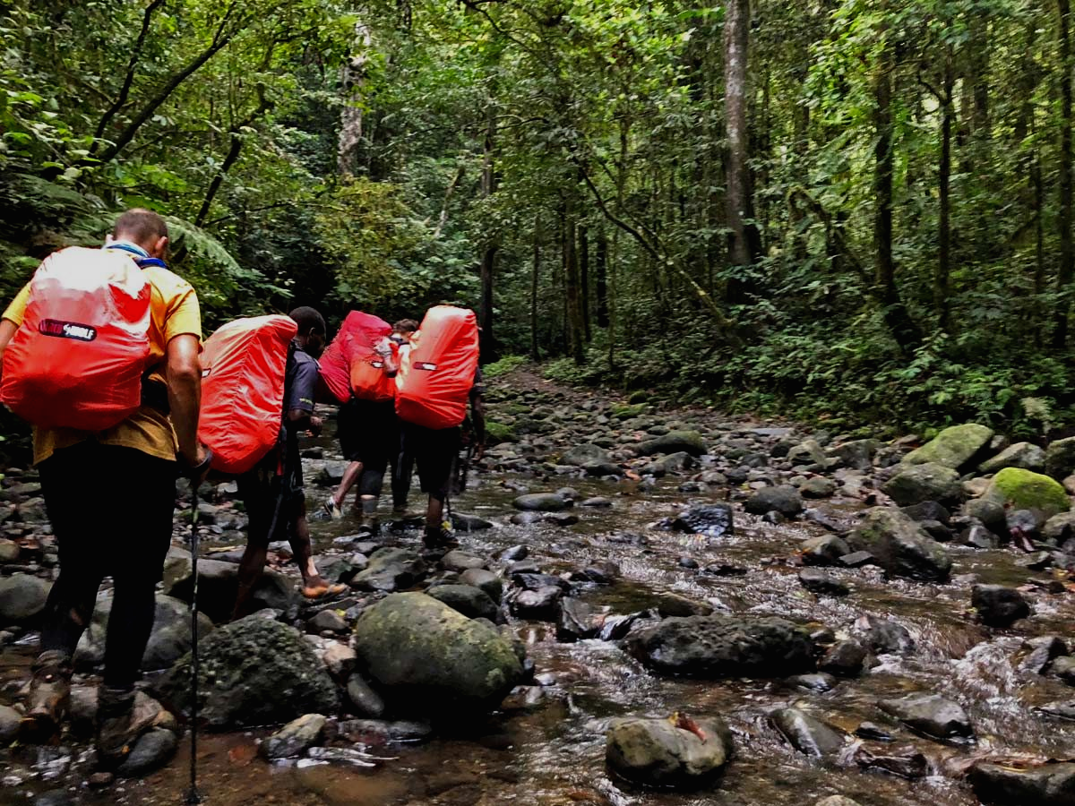 Kokoda Track hikers with backpacks wade through a shallow, rocky stream in a lush green Papua New Guinea jungle.
