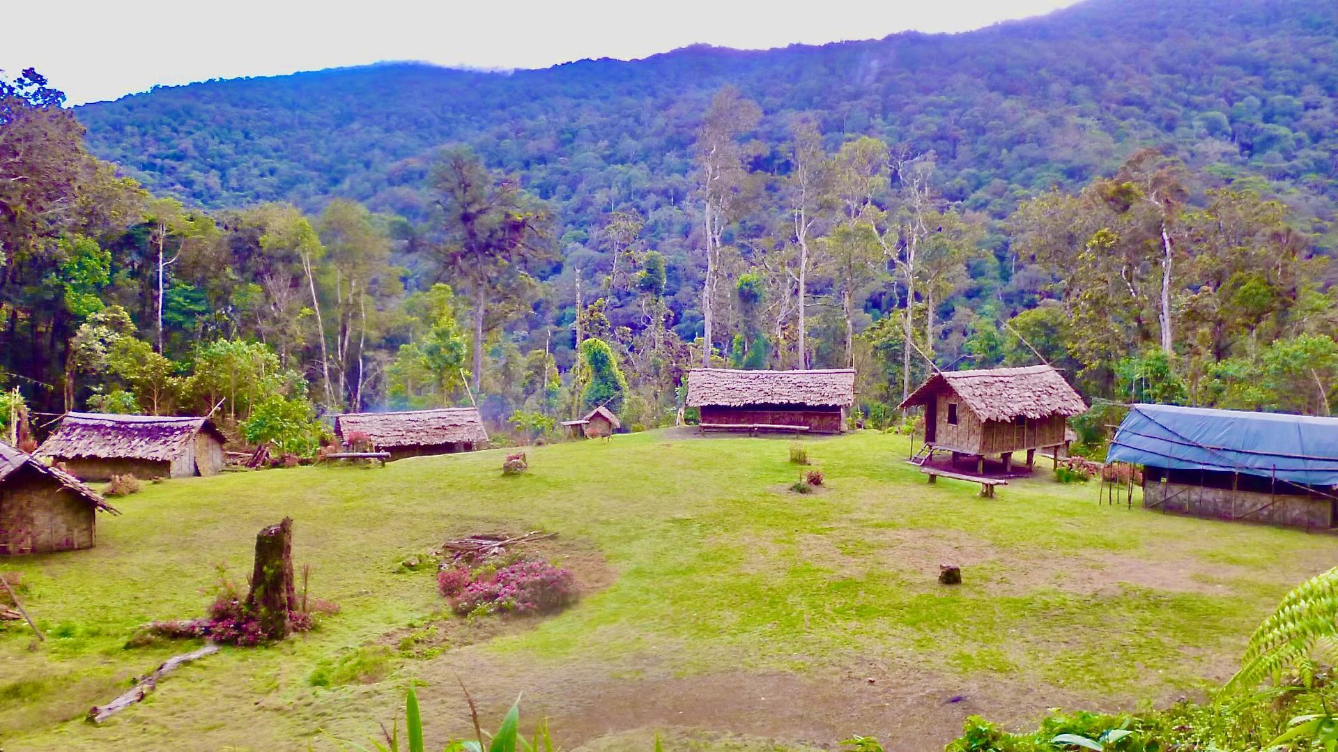 Image depicts a lush green plateau with 6 guest houses made out of local time and thatched roofing. The campsite is called Templeton's Crossing.