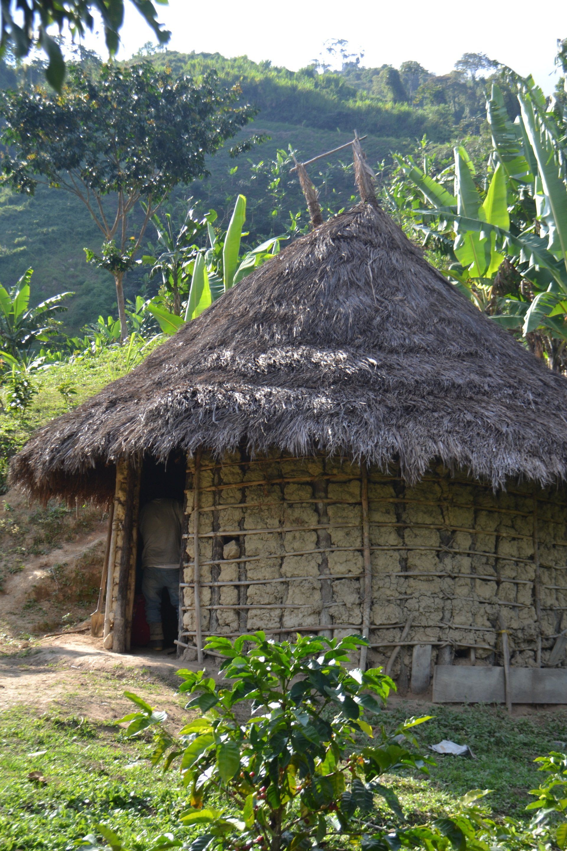 Kogi hut