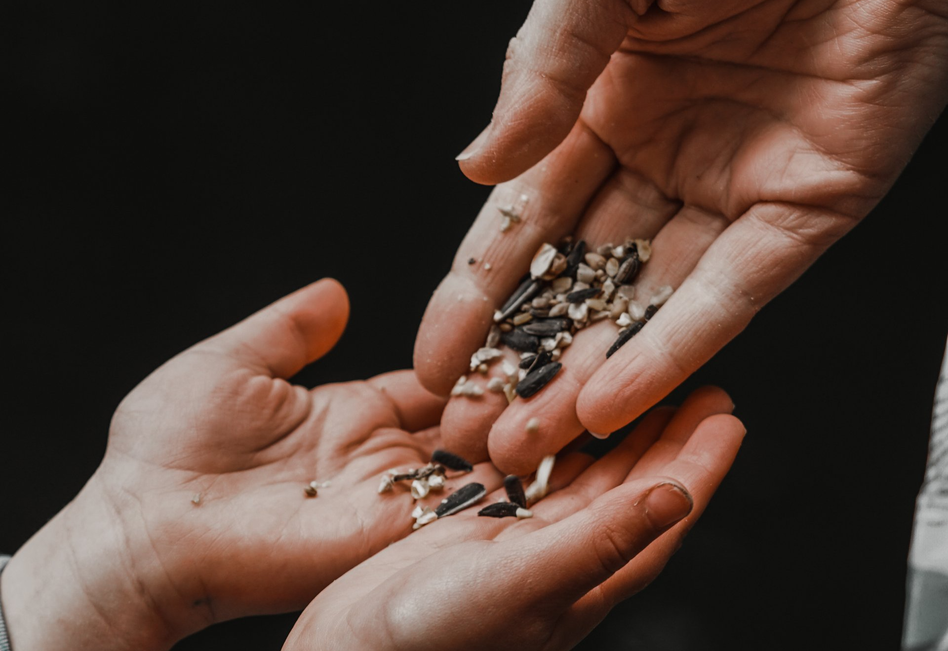 hands seeds