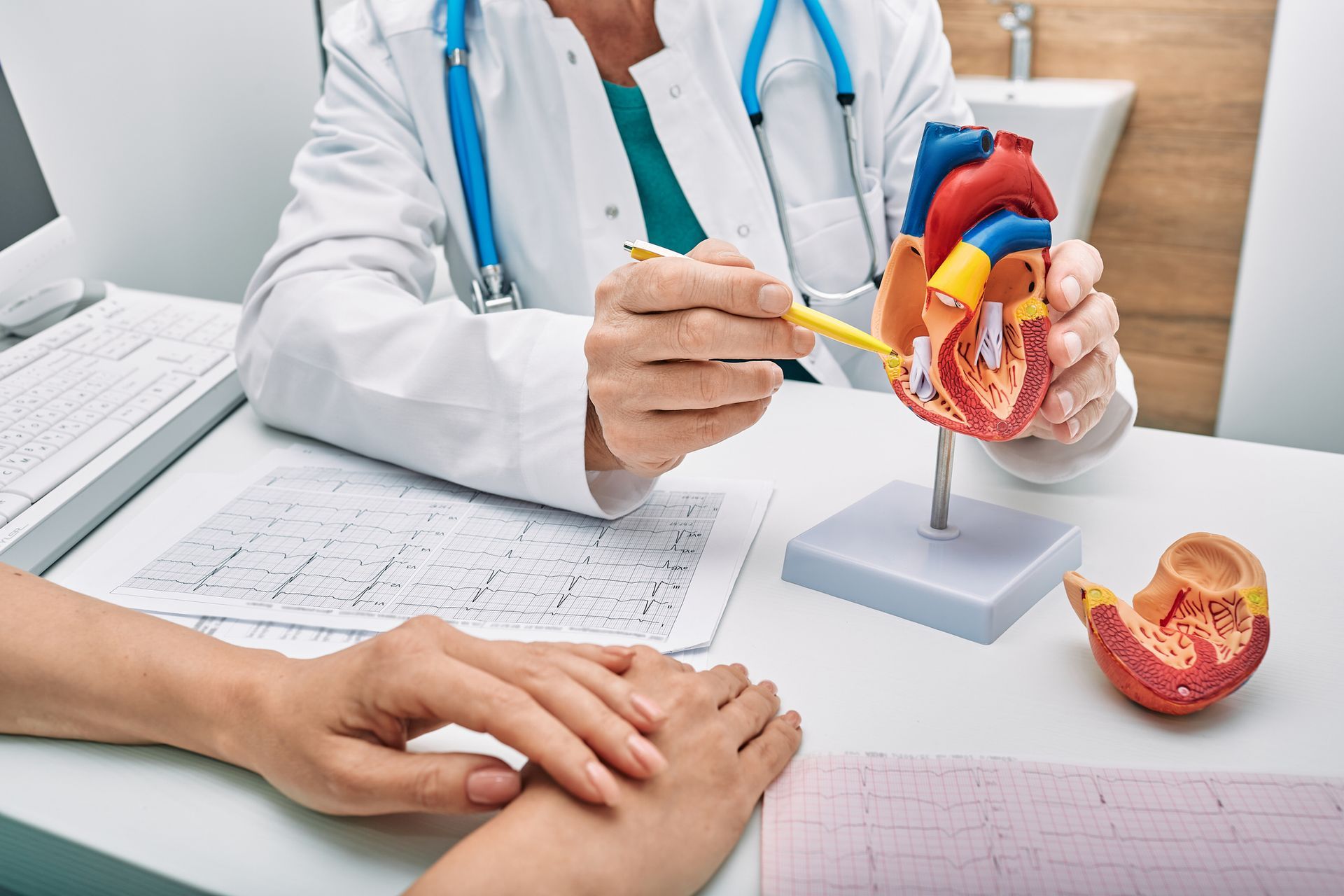 Cardiologist explains something to a patient as they point to an anatomical model of a heart.