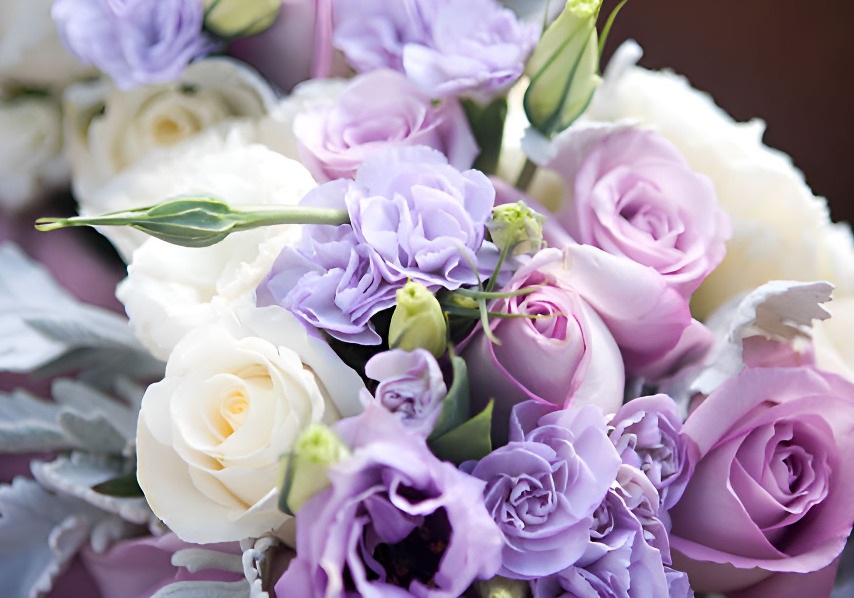 A Close Up of a Bouquet of Purple and White Flowers โ Greenfield Blooms and Gifts In Wanguri, NT