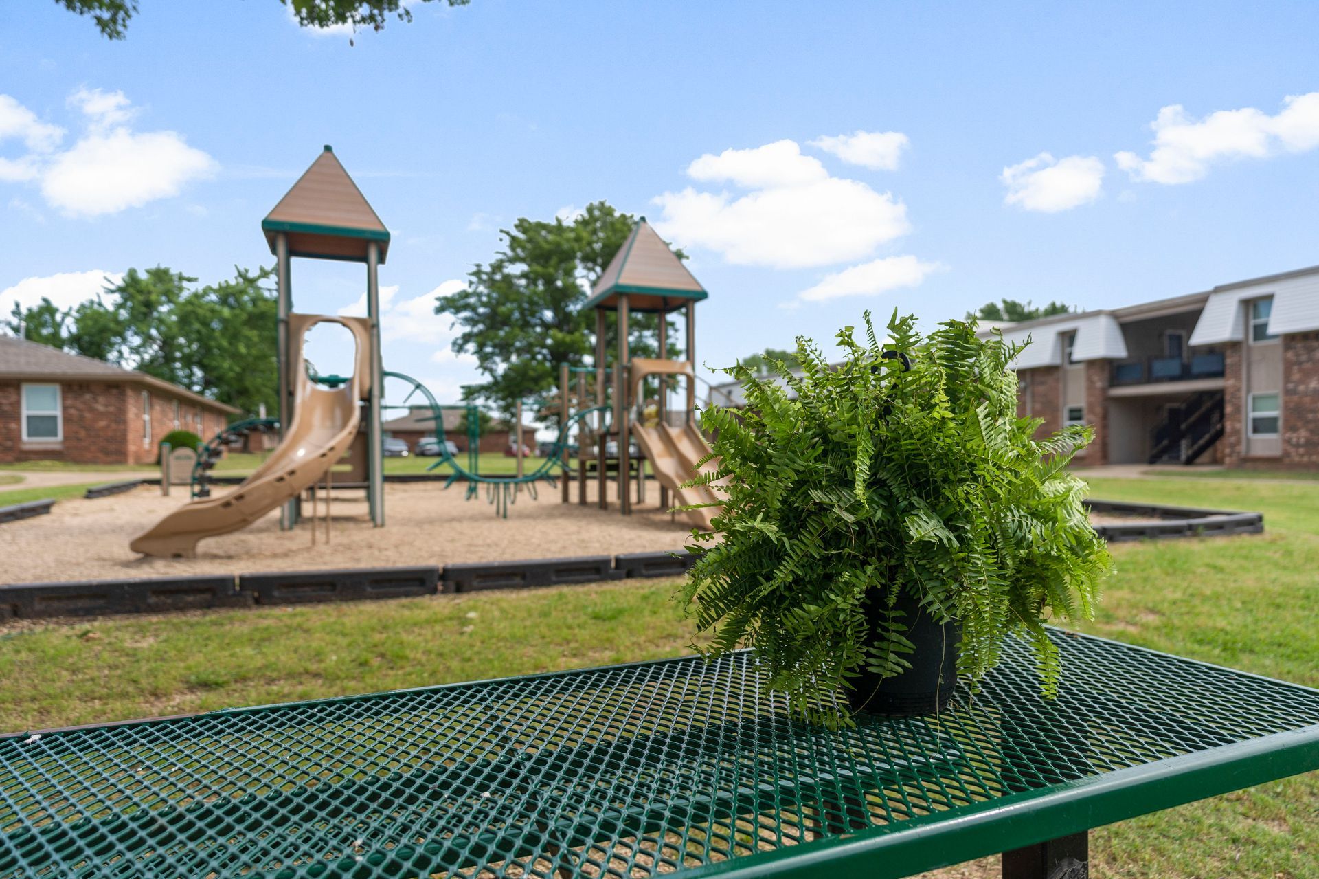 playground 4