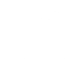 לוגו חלום צרוף
