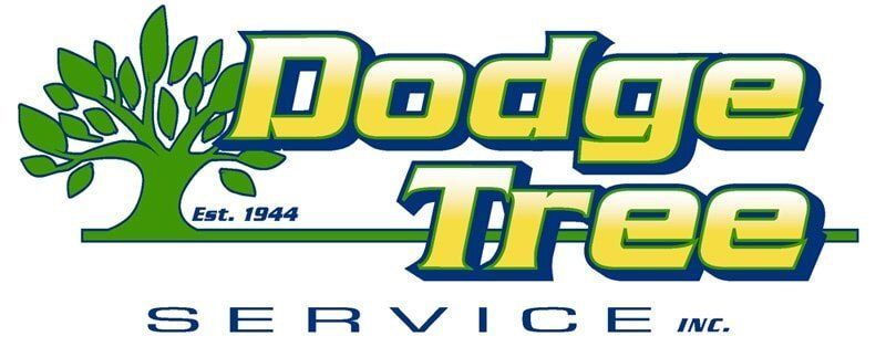 Dodge Tree Service