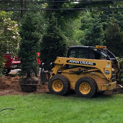 Worker Trimming The Tree — South Hamilton, MA — Dodge Tree Service Worker Trimming The Tree — South Hamilton, MA — Dodge Tree Service