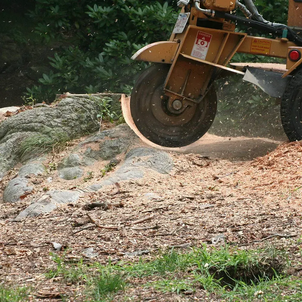 Stump grinder machine is grinding a tree stump in a garden. Stump grinder machine is grinding a tree stump in a garden.