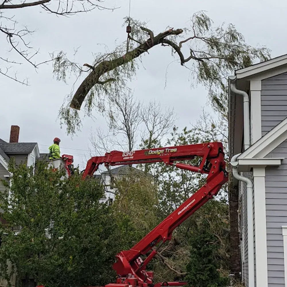 A man is cutting a tree trunk in a residential area.