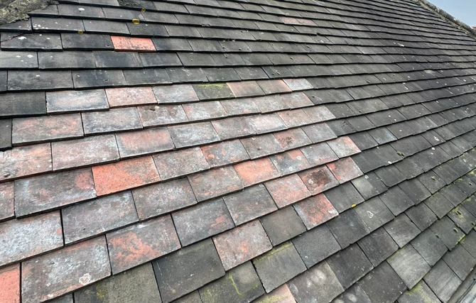 NSD roofing repairs and moss removal