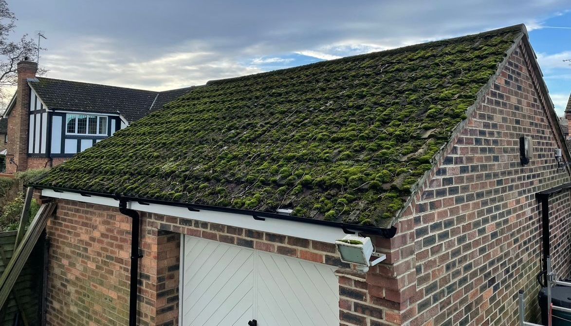 Moss Removal Before and After