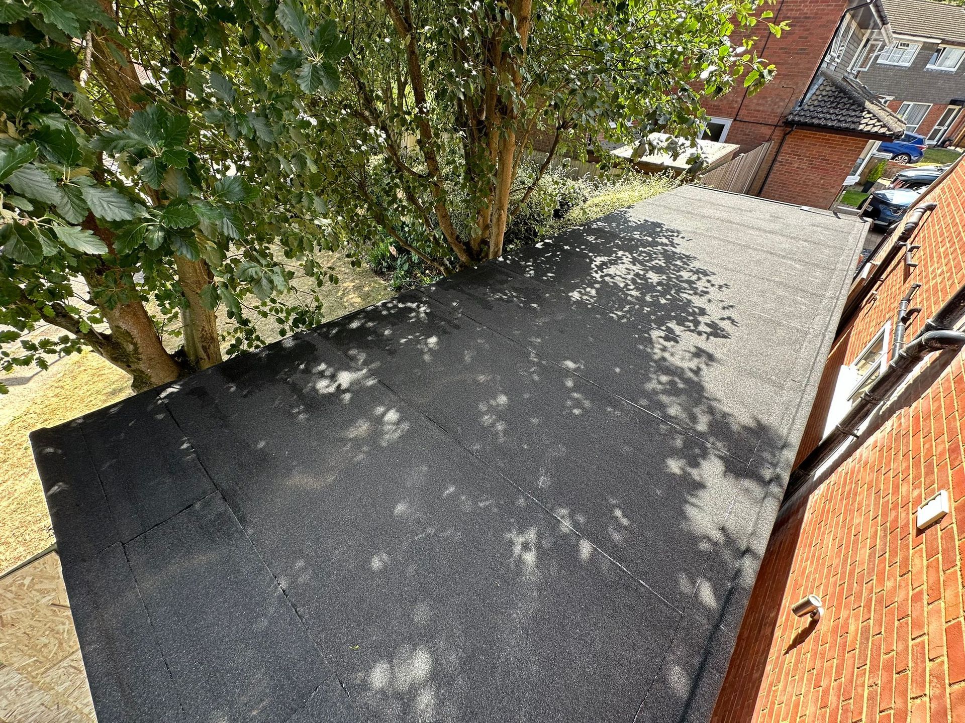 Black flat roof with tree growing through it, sunlight dappling the surface.