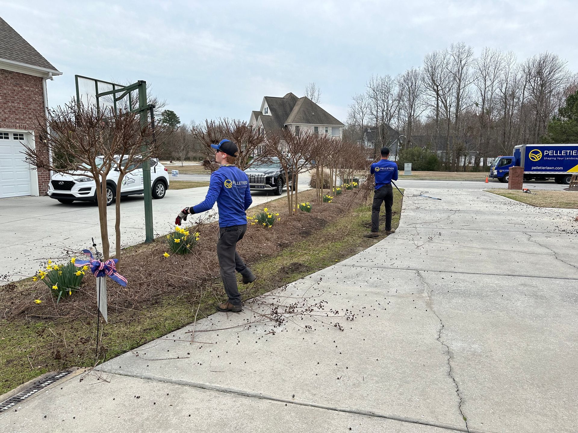 Two men are pruning small trees down a sidewalk in front of a house.