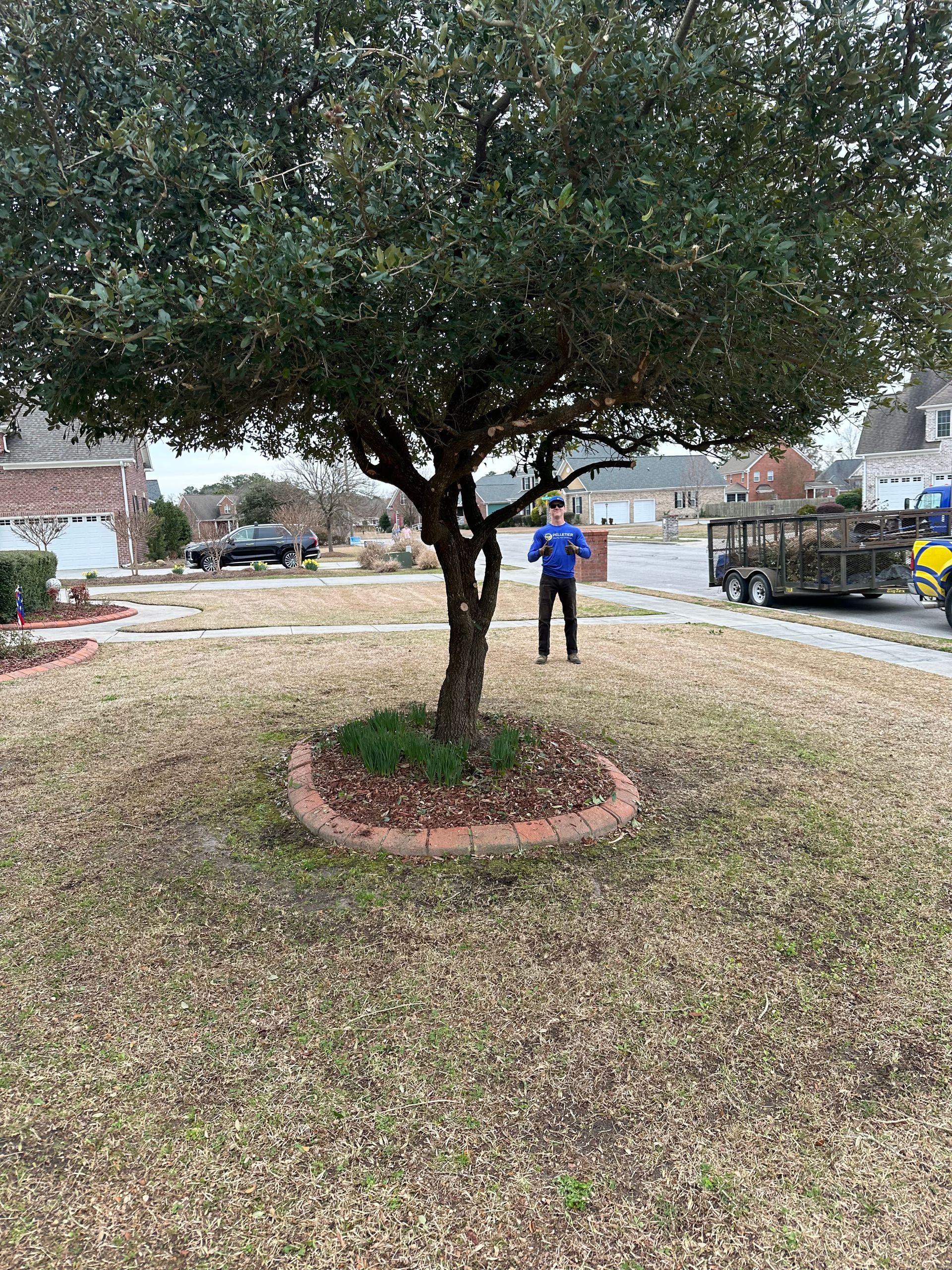 A man is standing under a tree in a yard.