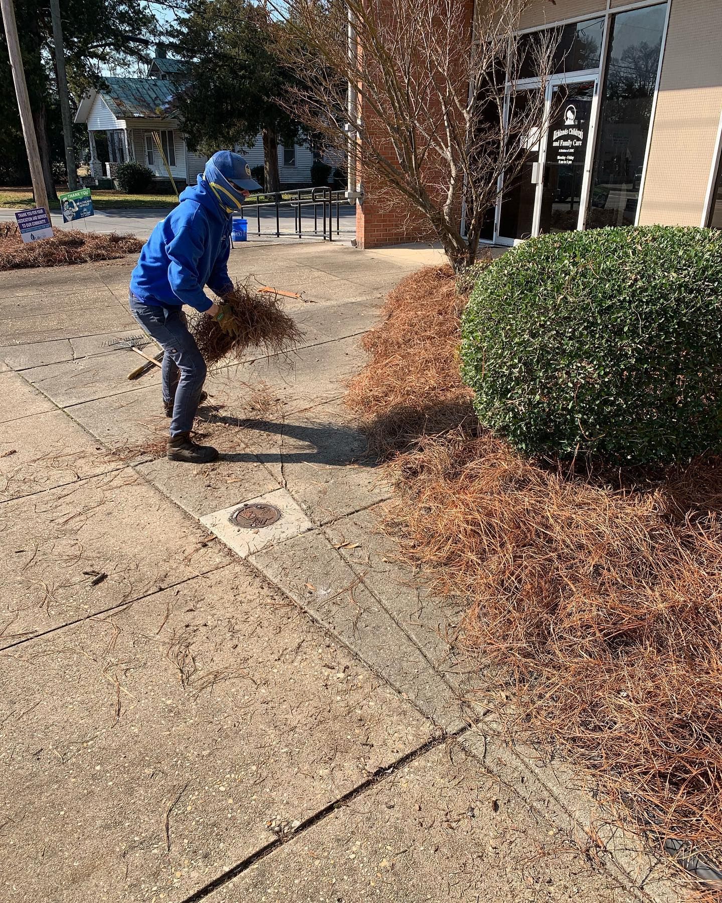 A man is standing on a sidewalk holding pine straw.