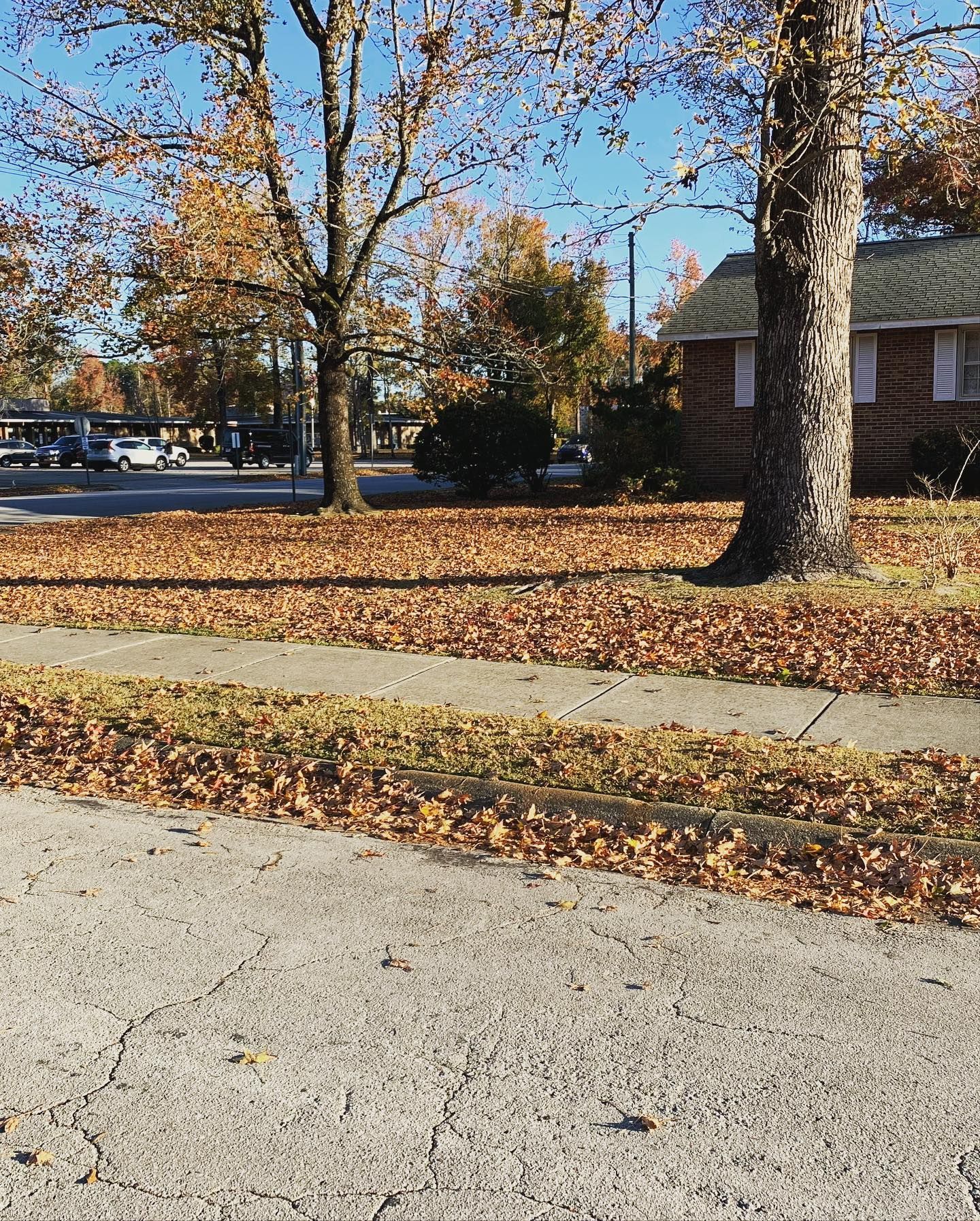 A sidewalk covered in leaves with a house in the background
