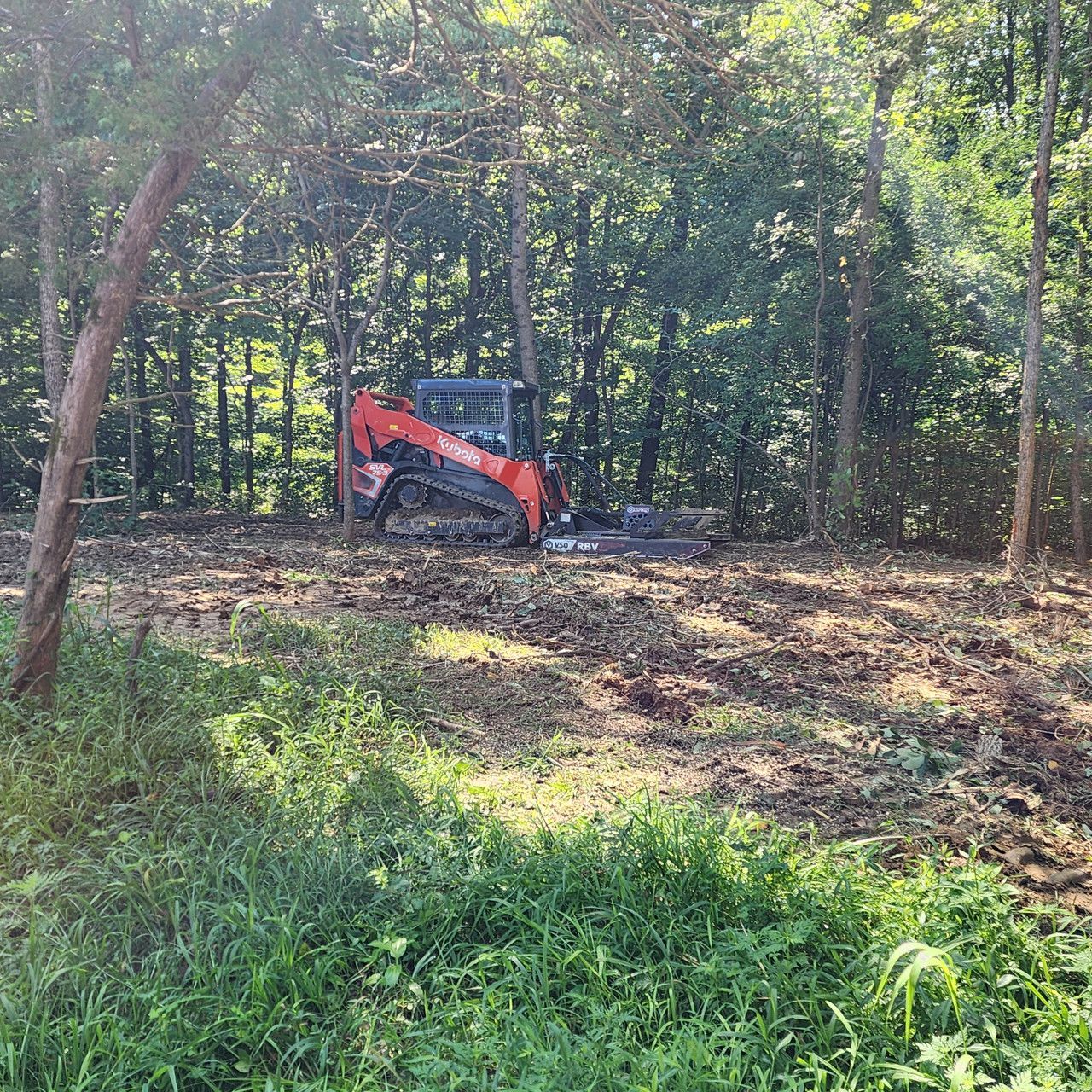 An orange tracked skid steer clears a wooded area in a sunlit forest clearing.